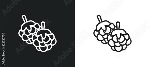 blackberry outline icon in white and black colors. blackberry flat vector icon from fruits and vegetables collection for web, mobile apps and ui.