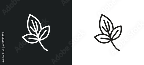 basil outline icon in white and black colors. basil flat vector icon from fruits and vegetables collection for web, mobile apps and ui.