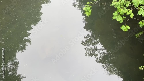 Small waterfall in the distance, tilt up on water, misty atmosphere