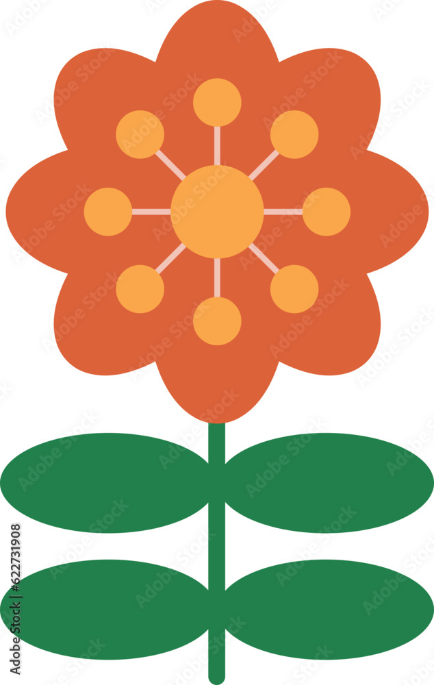 Zinnia Zinnia