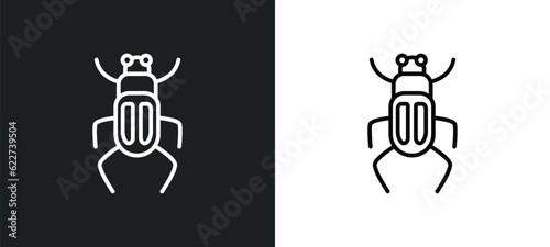 scarab outline icon in white and black colors. scarab flat vector icon from desert collection for web, mobile apps and ui.