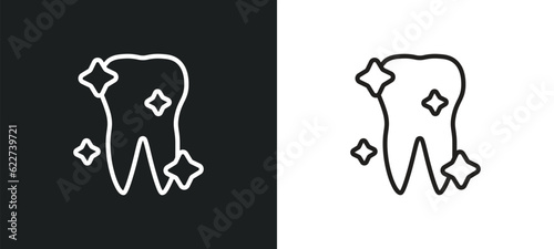 shiny tooth outline icon in white and black colors. shiny tooth flat vector icon from dentist collection for web, mobile apps and ui.