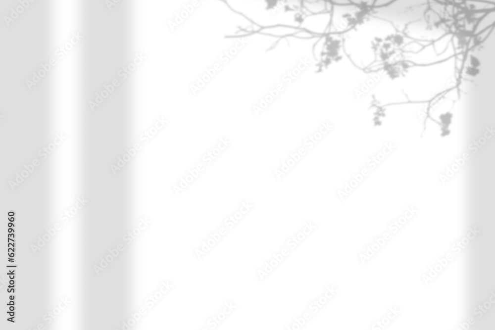 Leaves and window pane shadow. Realistic tree branches shadow blur isolate on transparent backgrounds. Shadow drop on white wall png Leaves and window pane shadow. Realistic tree branches shadow blur isolate on transparent backgrounds. Shadow drop on white wall png