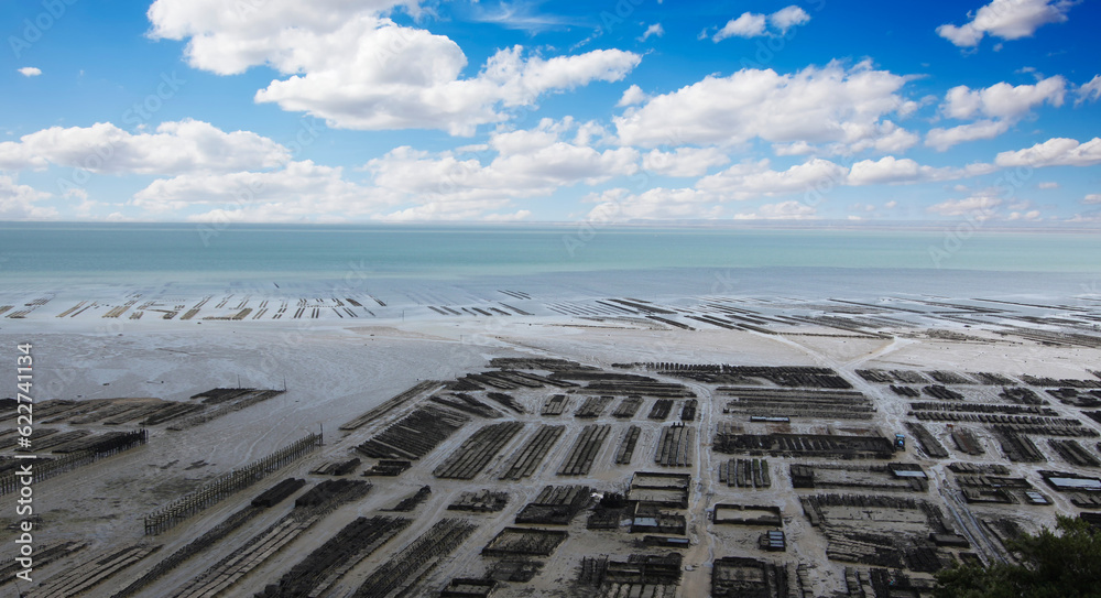 oyster farm in Cancale, brittany, france