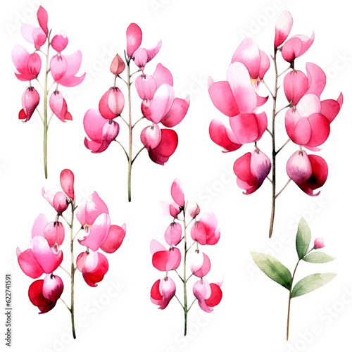 Set of soft pink floral watecolor. flowers and leaves. bleeding heart flower, invitation floral. Vector arrangements for greeting card or invitation design