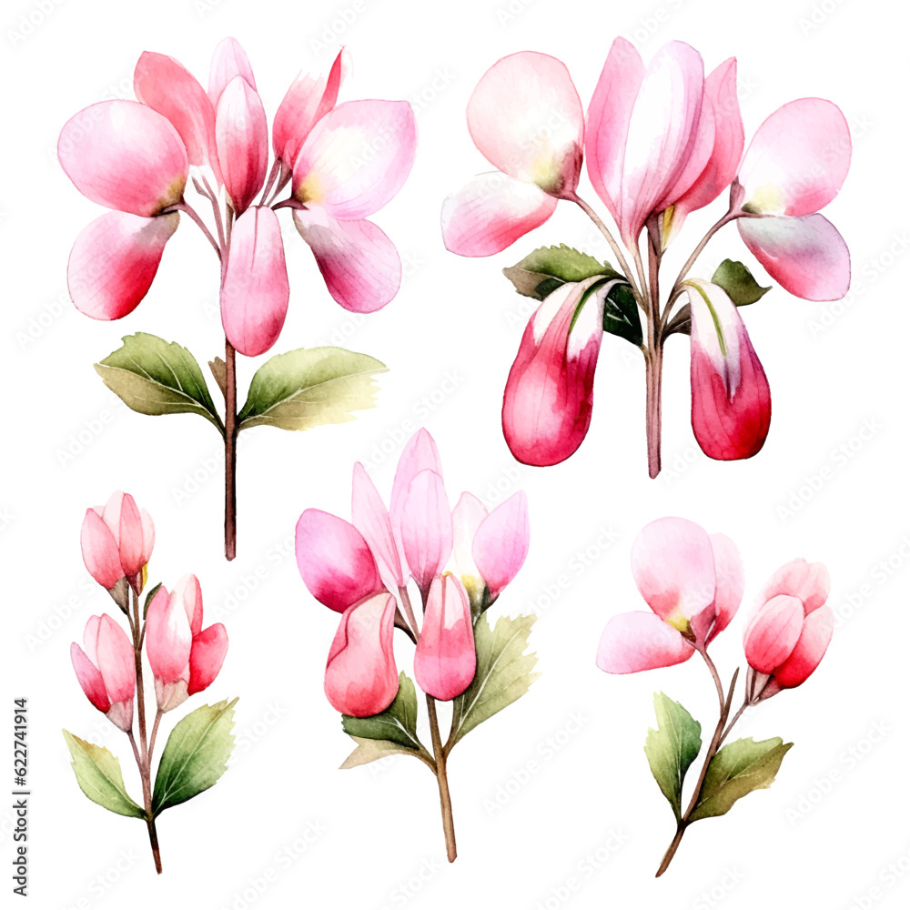 Set of soft pink floral watecolor. flowers and leaves. bleeding heart flower, invitation floral. Vector arrangements for greeting card or invitation design