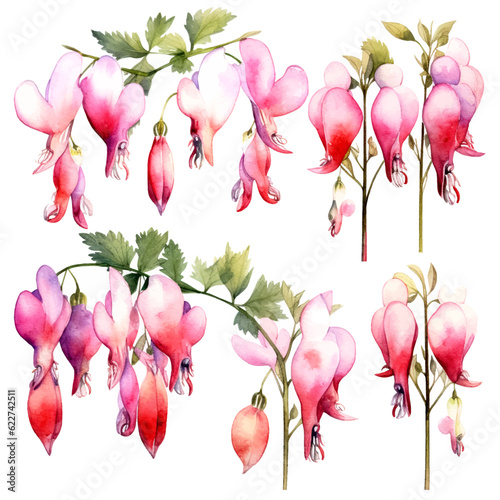 Set of soft pink floral watecolor. flowers and leaves. bleeding heart flower, invitation floral. Vector arrangements for greeting card or invitation design