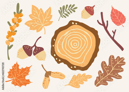 Cut down tree, fall berries and  forest leaves. Autumn mood clipart. Set of vector illustrations.