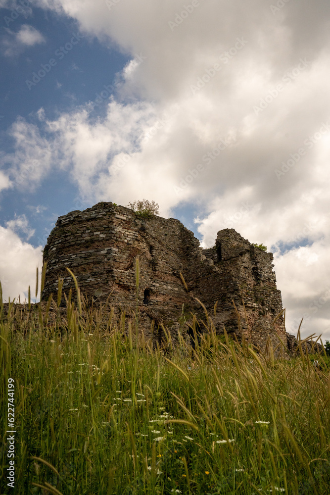 the ruins of the castle