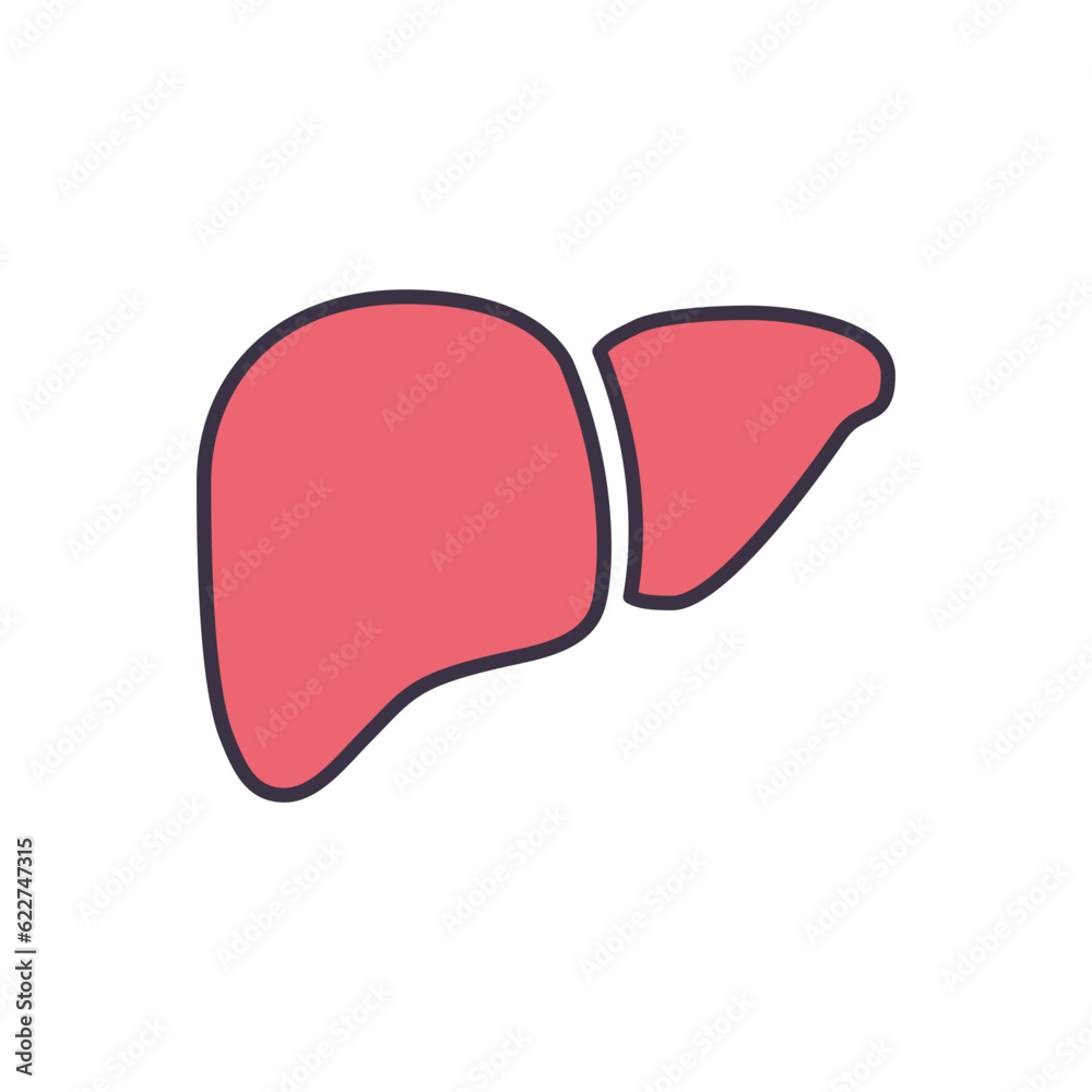 Liver Vector Icon. Isolated on the White Background. Editable EPS file. Vector illustration Liver Vector Icon. Isolated on the White Background. Editable EPS file. Vector illustration