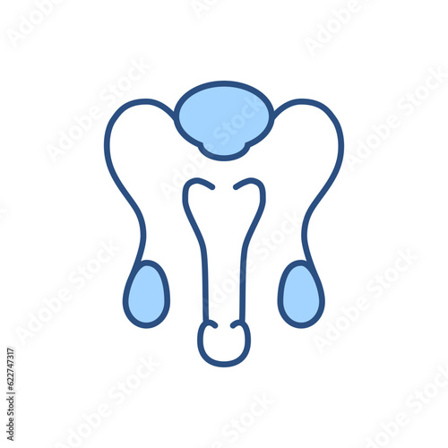Male Reproductive System Related Vector Line Icon. Isolated on White Background. Editable Stroke