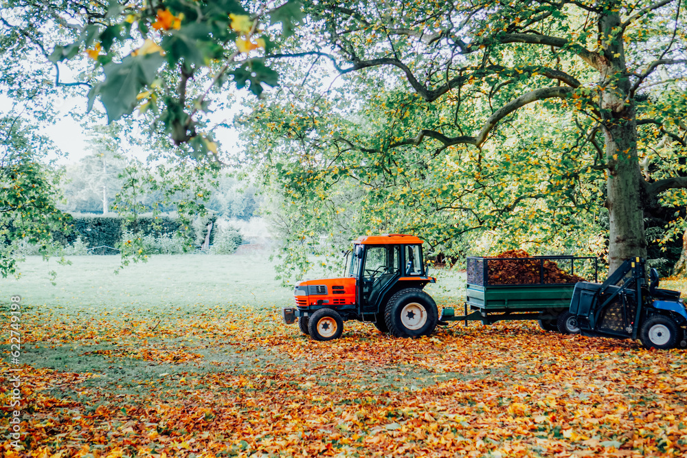 Removing fallen autumn leaves in the park, process of raking and cleaning the area from yellow leaves, regular seasonal work with tractor, garden tools and modern equipment.
