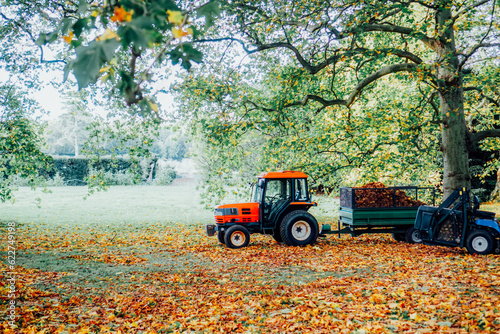 Removing fallen autumn leaves in the park, process of raking and cleaning the area from yellow leaves, regular seasonal work with tractor, garden tools and modern equipment.