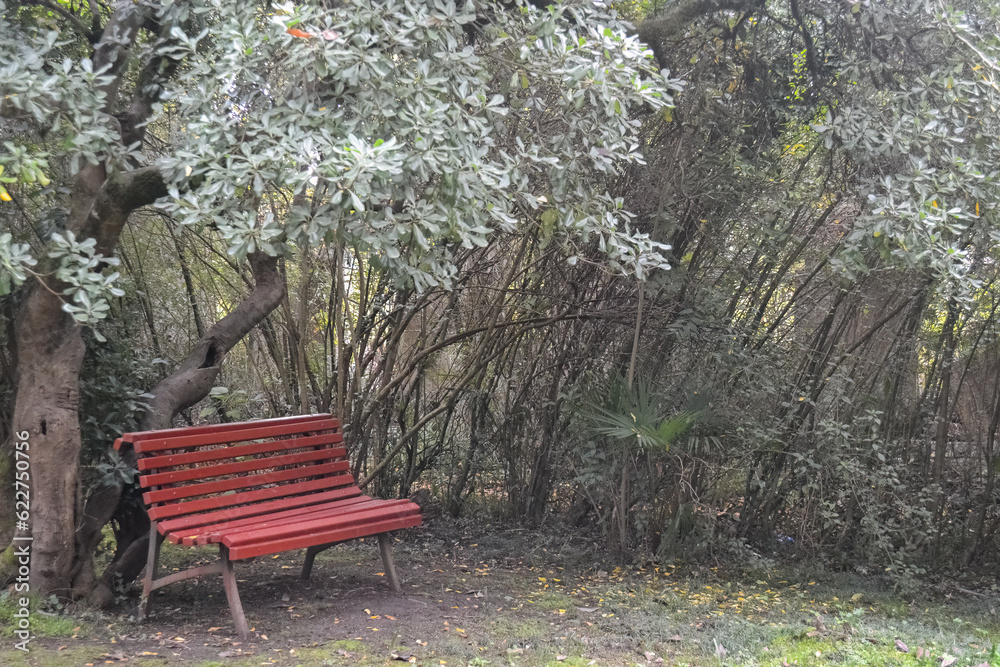 red park bench surrounded by green trees red park bench surrounded by green trees