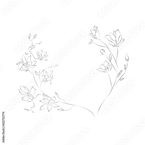 Line Drawing Botanical Wreath. Herbs and florals 08