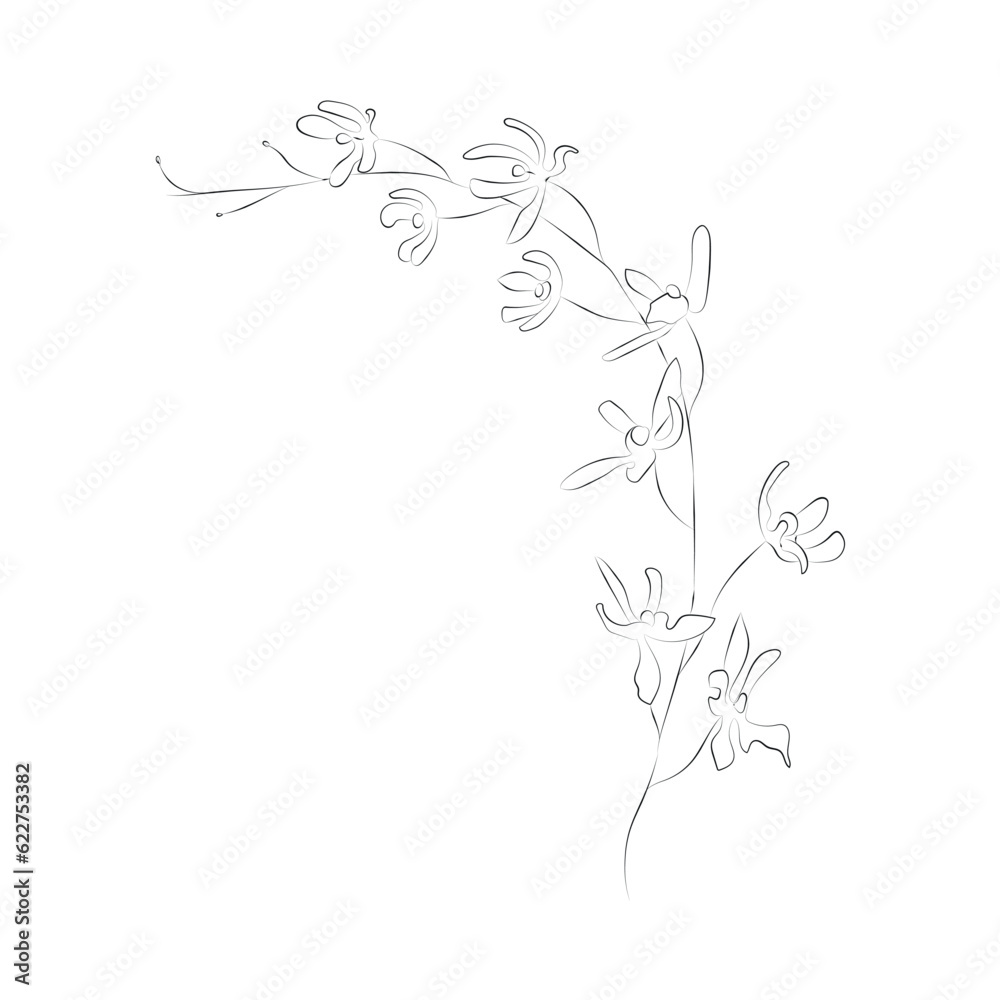 Line Drawing Botanical Wreath. Herbs and florals 18