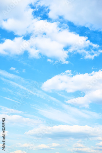 Fototapeta Naklejka Na Ścianę i Meble -  Blue sky with clouds - Vertical background