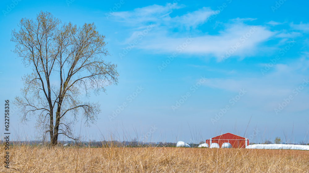 landscape with a house landscape with a house