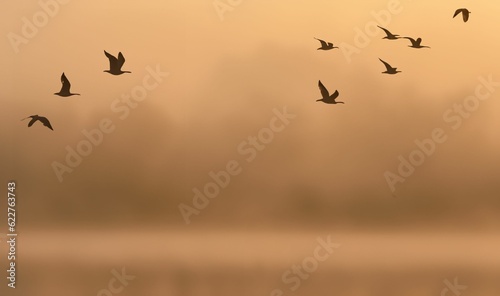 AI generated illustration of a flock of birds flying in the sky at sunset