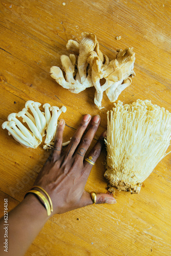 A variety of mushrooms.