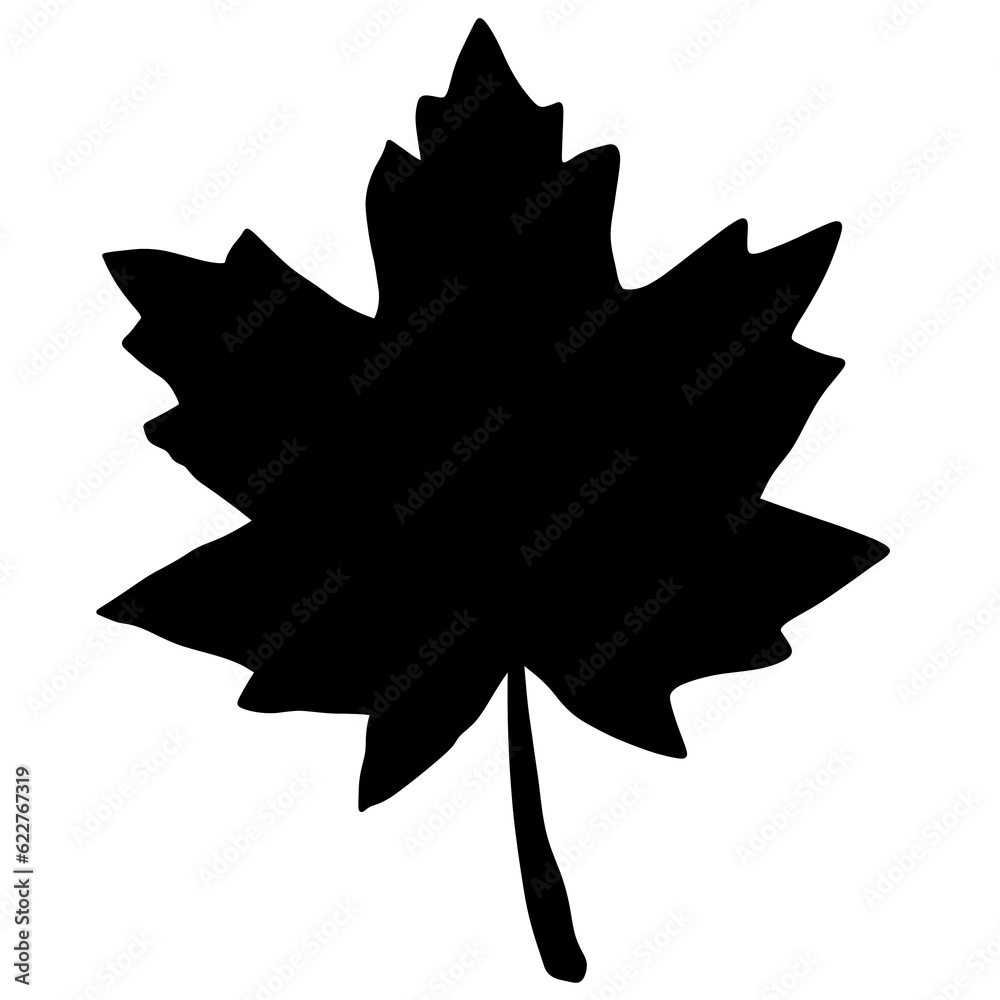 maple leaf maple leaf