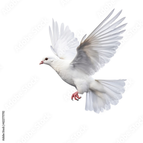 white pigeon flying , isolated on transparent background cutout , generative ai
