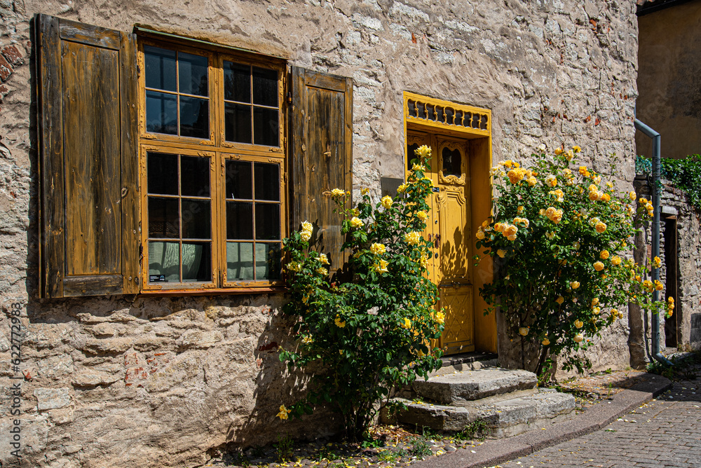 The yellow rose door