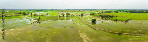 Aerial panorama of farmland with irrigated rice fields, Nakhon Luang, province of Ayutthaya, Thailand. photo