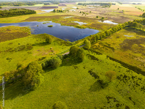 Aerial view of grassland, trees, grazing cows and lakes in nature recovery area Scharreveld, Westerbork, Drenthe, Netherlands. photo