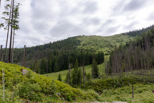 Natural daytime view of the Polish Tatra Mountains with hiking trails popular with tourists 
