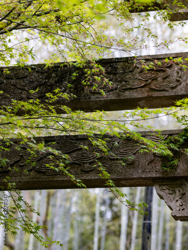 fence in forest
