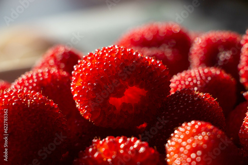 Фотография Rubus rosaefolius. Red barry. Miao miao.