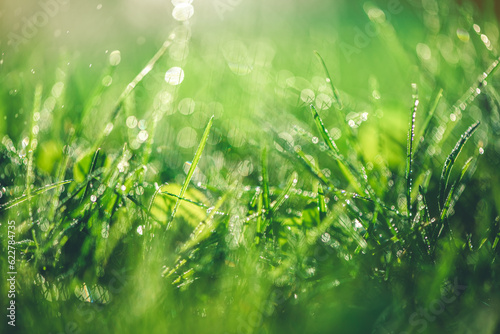 Grass with rain drops. Watering lawn. Rain. Blurred Grass Background