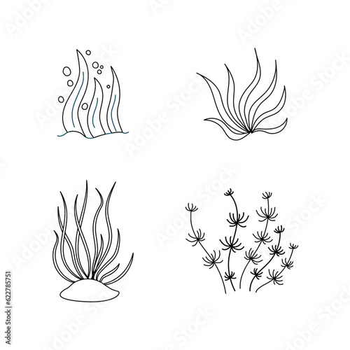 Set outline seaweed. Vector icon alga. Concept the world day ocean, sea plants.