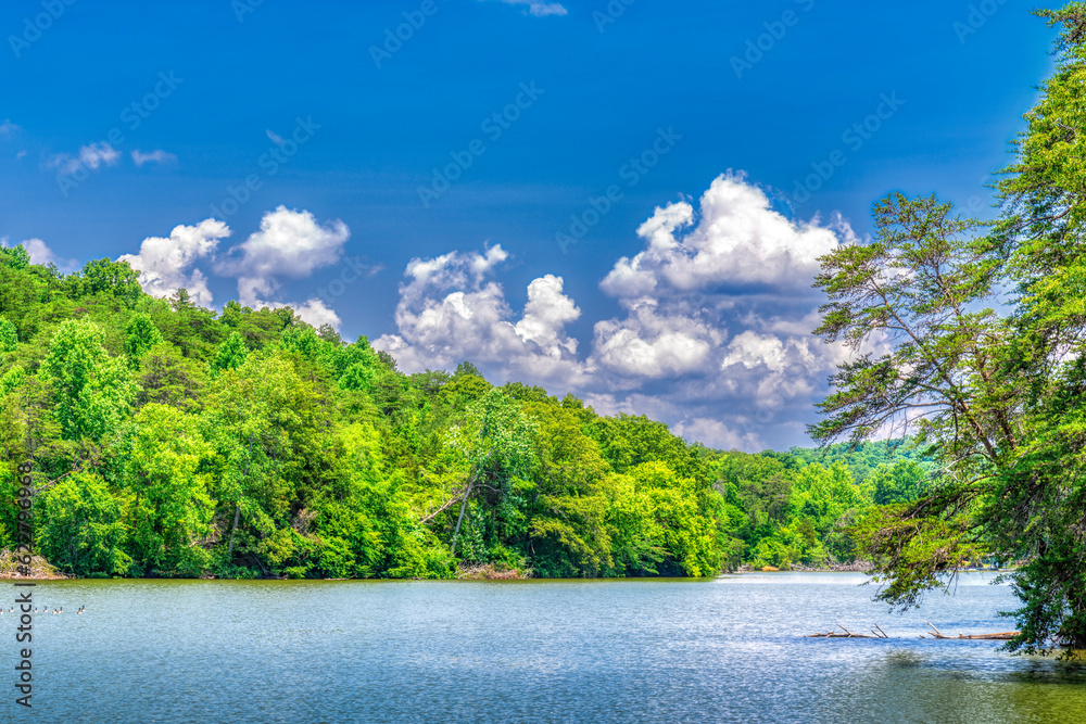 Peaceful River Background With Puffy Clouds and Blue Sky