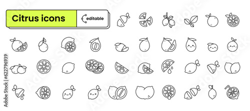 Set of editable icons: citrus (lemon, orange, pomelo, lime, tangerine, juicy, leaf, leaves, tree branch, slice, citrus happy face) (ID: 622796939)
