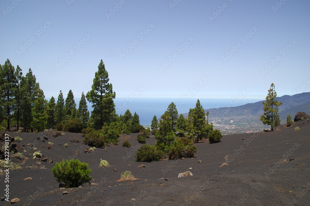 Blick von El Pinar auf La Palma