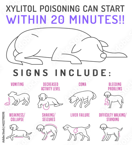 Signs of xylitol poisoning in dogs. Editable vector illustration