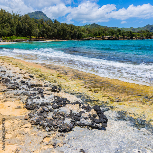 Exposed Coral Reef on Mahaulepu Beach, Mahaulepu Heritage Trail, Poipu, Kauai, Hawaii, USA photo