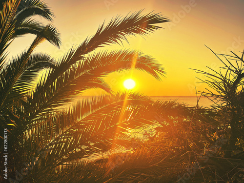Fototapeta Naklejka Na Ścianę i Meble -  idyllic tropical sunset with palm trees and ocean