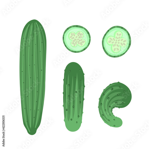 cucumber set, slices. Vector Illustration for printing, backgrounds, covers and packaging. Image can be used for greeting cards, posters, stickers and textile. Isolated on white background.