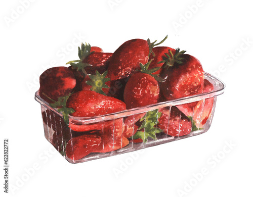 Plastic container with ripe strawberries. Watercolor sketch of red garden berries.