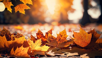 Orange maple leaves on the ground with a bokeh effect defocused background, Generative AI
