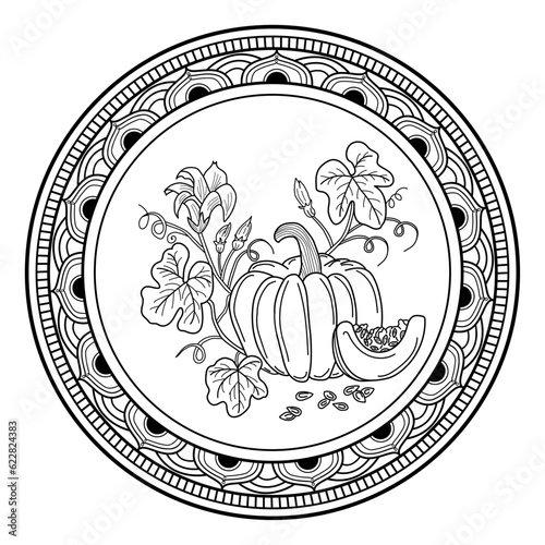 Vector illustration of a mandala frame with pumpkin for coloring adult book antistress, cornice mandala vettoriale con zucca da colorare per libro adulti antistress