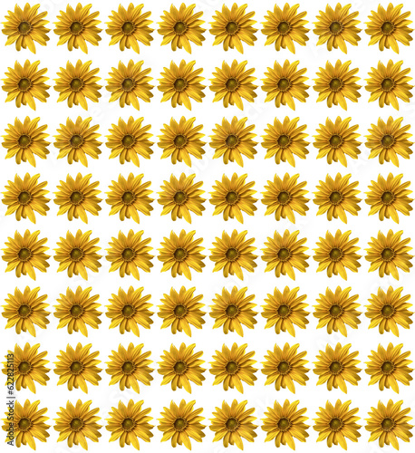 seamless pattern with sunflowers © Chris
