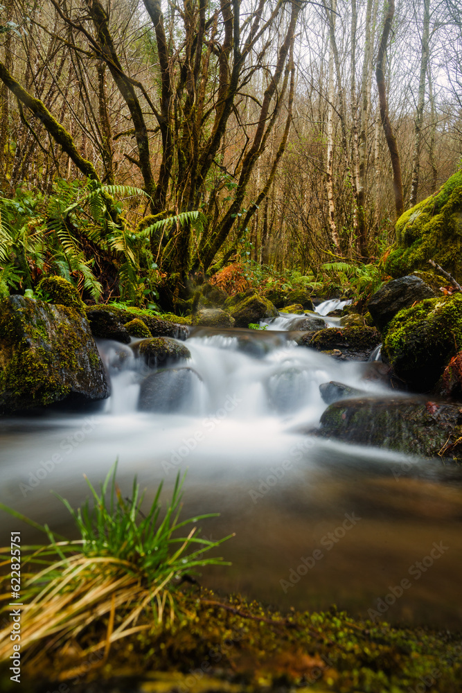 Fervenza de Bermui waterfall in Fragas do Eume river. Natural park in Way of St James. Peaceful Fervenza de Bermui waterfall in Fragas do Eume river. Natural park in Way of St James. Peaceful