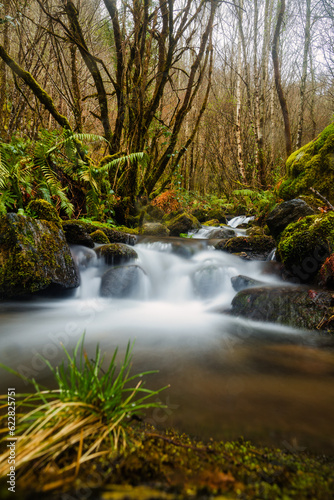 Fervenza de Bermui waterfall in Fragas do Eume river. Natural park in Way of St James. Peaceful