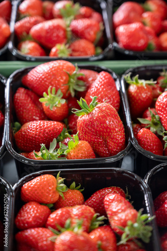 New spring harvest, boxes of ripe Dutch red sweet strawberry on farmer market in the Netherlands