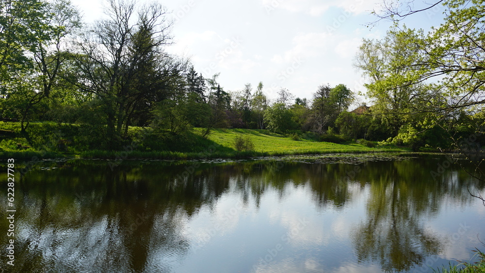 Pond in the park Pond in the park