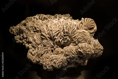 Desert rose, a flowerlike aggregate of crystals, on dark background